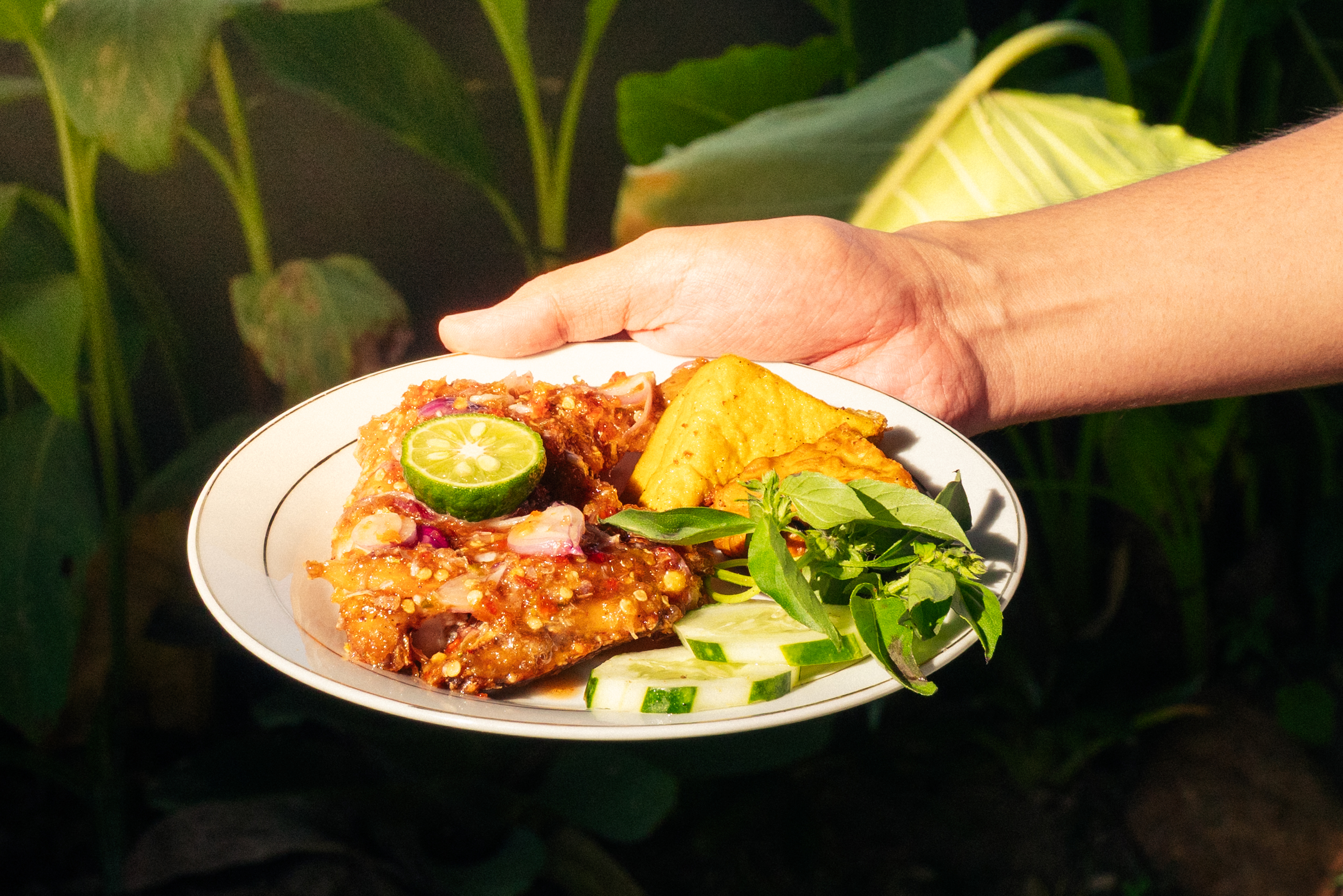 Ayam Beberok Kampung foto 5